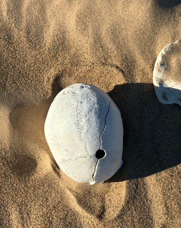 7a5fb294-806f-4e11-a910-69c4fa725df1