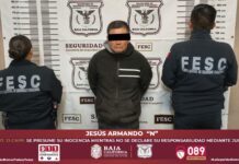 Lo detienen por matar a un cachorro husky en Ensenada