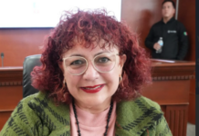 Exigen revisión integral del alumbrado público en Valle de las Palmas por rezagos históricos