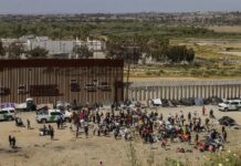 Miedo a Trump frena cruces a Estados Unidos; Detenciones caen 87%