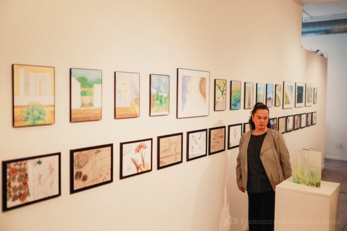 cac472d2-d53f-4c61-a3ee-2091c98e2624