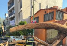 Activan protocolo de seguridad tras sismo en centro del país