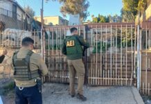 Rescatan a tres perros abandonados en Tecate