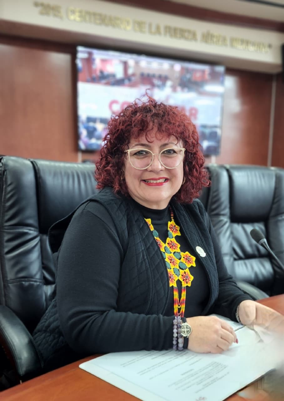 Diputada Méndez propone que iniciativas sean viables y accesibles en la página del congreso