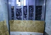 Golpe al narcotráfico en la frontera: incautan 33 mil libras de droga en cruces de San Diego