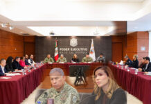 Editorial: Respuesta inmediata y coordinación.