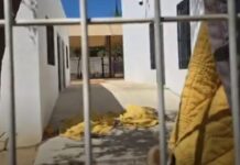 Imumi exige indagar muerte de niñas migrantes haitianas en Oaxaca