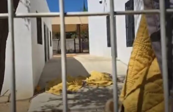 233a03bd-64d6-43bf-a9de-8a294b223187