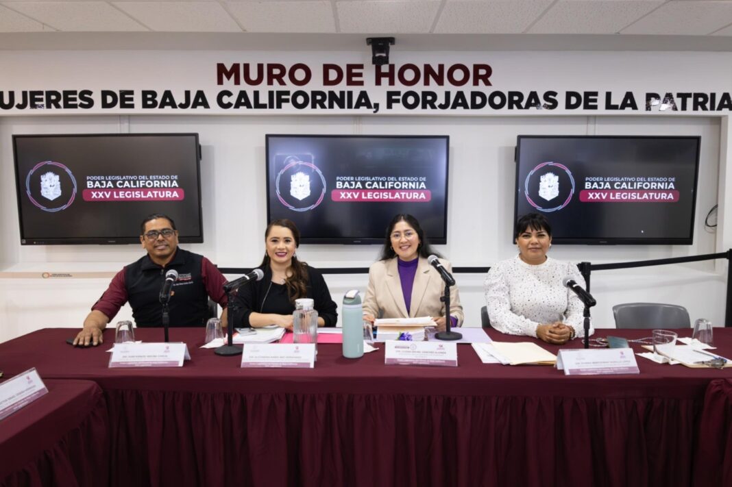 Comisión de igualdad impulsa reformas contra violencia económica y en el noviazgo