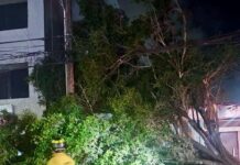 Atiende Ayuntamiento de Tijuana más de 60 reportes de incidencias por lluvias