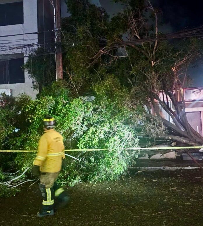 467662db-cc10-4fad-aae6-8fae96dc982a