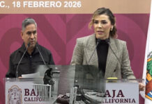 Editorial. Cuando quienes deben proteger, atracan: la impunidad que indigna