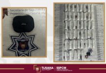 Localizan más de 20 kg de presunta droga en Los Sausillos