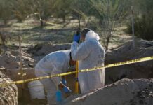 Grupo de 30 genetistas trabajan en identificar cadáveres de fosas de Mexicali