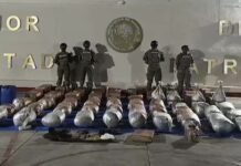 La Secretaría de Marina asegura armamento y cargamento multidroga en San Ignacio, BCS