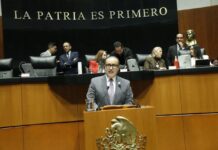 Senadores del PAN buscan reforzar papel del Senado en tratados económicos como el T-MEC