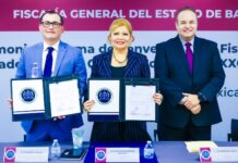 FGE y OXXO se alían contra el delito; Mexicali lidera arrestos por robo.