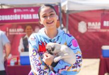 BC impulsa programas gratuitos de salud para mascotas y bienestar animal