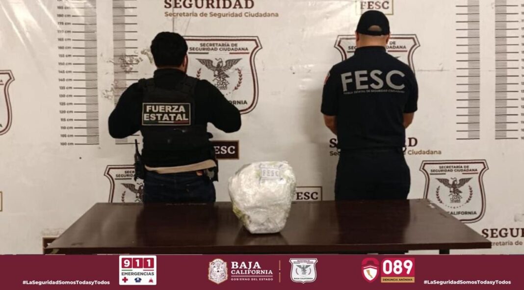 Decomisan cargamento de cocaína y metanfetamina en Tijuana