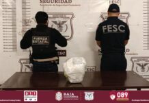 Decomisan cargando de cocaína y metanfetamina en Tijuana