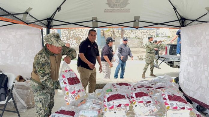 e6b31679-676b-41ad-8092-ef4e99bfb1f7