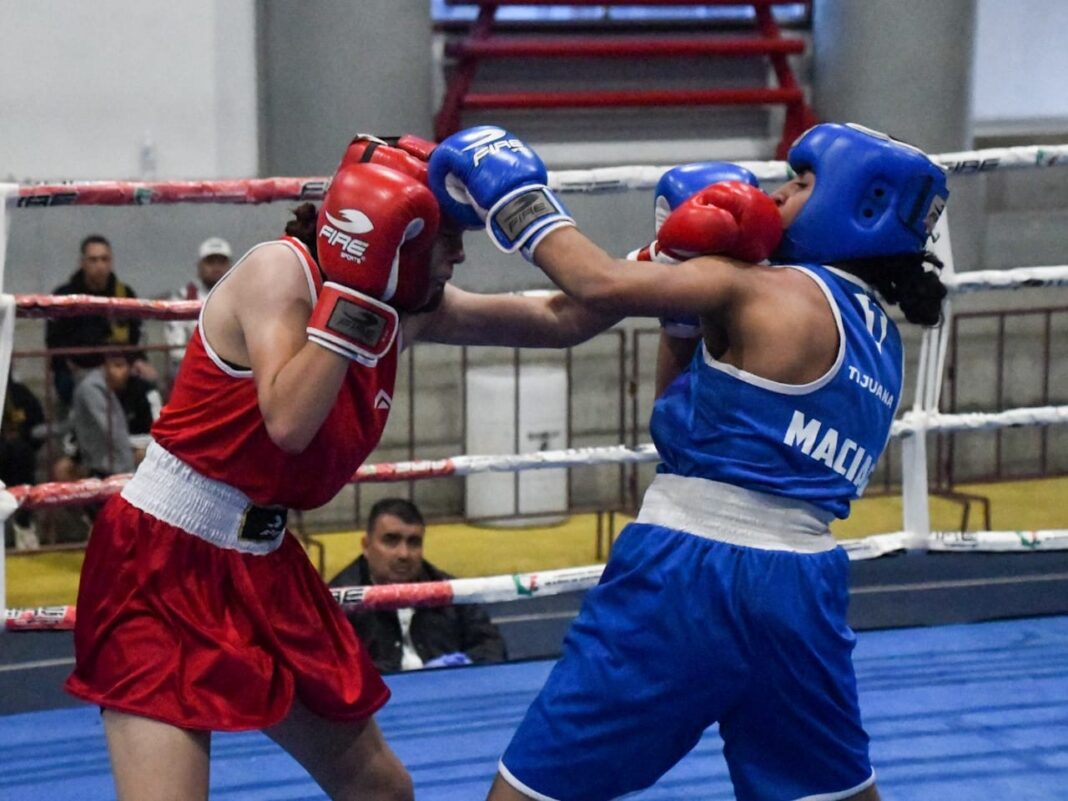 Arranca estatal de boxeo rumbo a la Olimpiada Nacional 2026