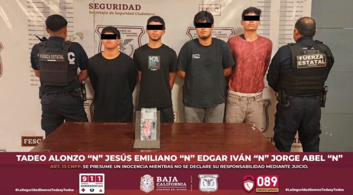 e7bb7e1d-255f-4a11-8201-cffa20c01827