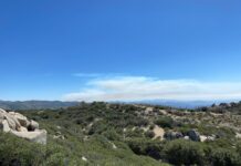 Liquidan incendio entre San Quintín y Ensenada