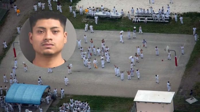 42ad99e5-021d-45a1-8b80-213021ec8e3f