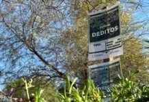 Gobierno de Mexicali donará 13 mil plantas en viveros municipales