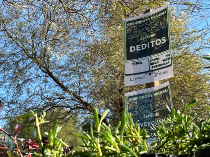 80b4cb1b-7436-4315-8396-aeb58aa6b9d7