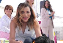 Celebra Marina del Pilar dos años del Santuario Mily, ejemplo nacional de protección a los perros y gatos