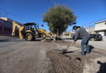 Recolectan más de 26 toneladas de basura en colonias de Tijuana