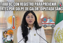 Contará BC con registro para prevenir muertes por golpe de calor: Diputada Sánchez