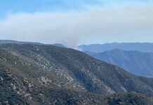 Incendio “Mesa El Barreal” alcanza 90% de control en límites de Ensenada y San Quintín