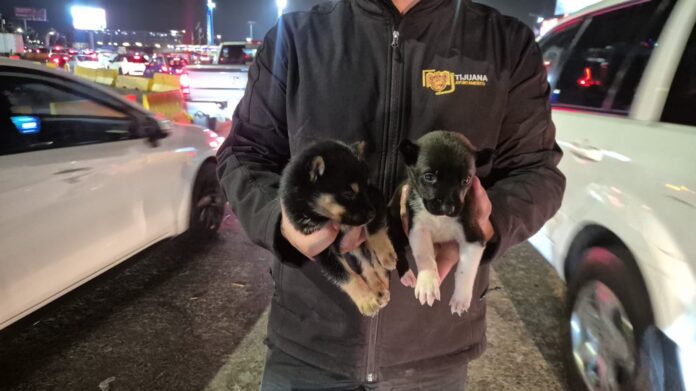 b767b89f-1b40-4f5a-930c-e4b666b3682c