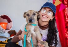 Voluntarios TJ impulsa adopción y conciencia contra el maltrato animal