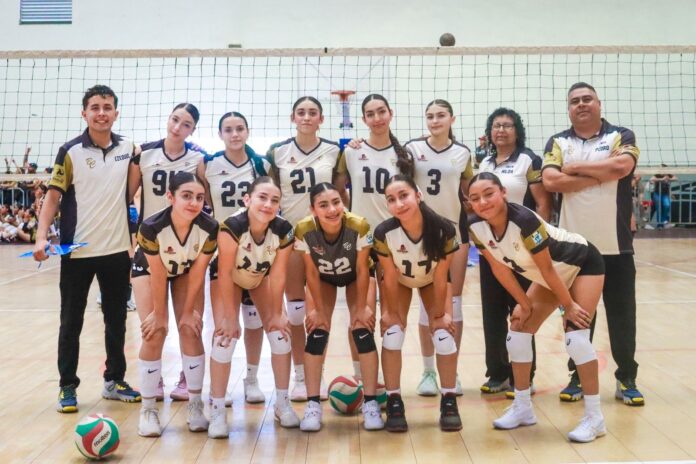 d705b42d-2cbf-4af9-ab17-86de2edb9cd4