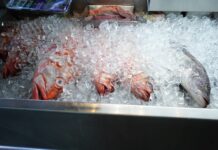 Refuerzan recomendaciones para consumir pescados y mariscos de forma segura en Semana Santa