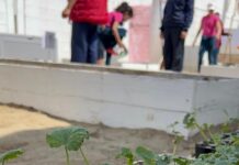 Implementa DIF BC huerto pedagógico en albergue temporal de Tijuana