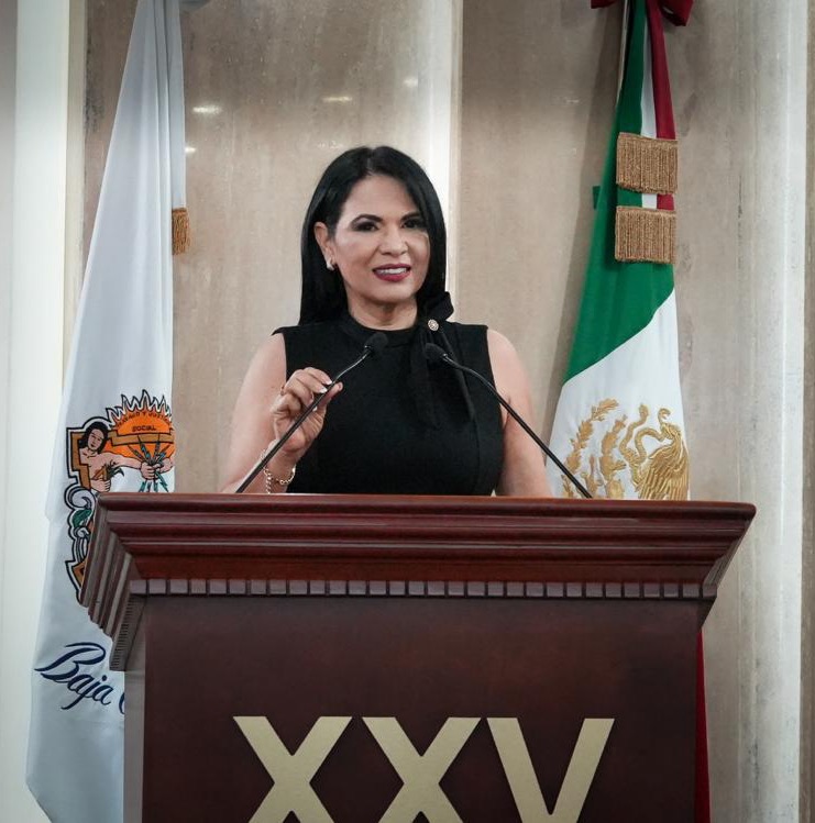 Exhortan a adelantar el subsidio de luz en BC