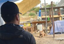 Atiende Gobierno de Tijuana denuncia ciudadana por presunto maltrato animal