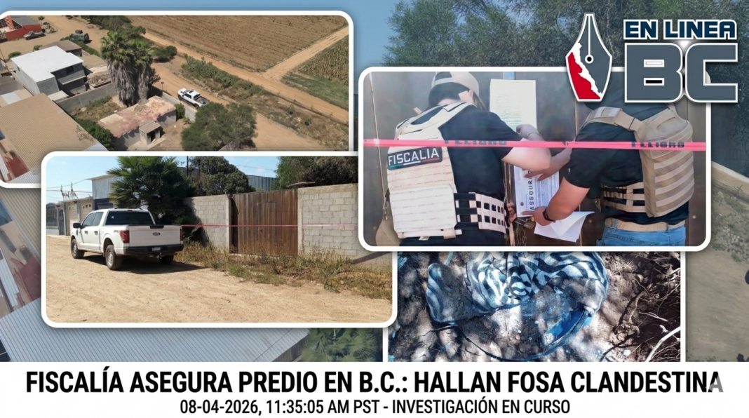 Hallan cuerpo enterrado en cateo por desaparición en San Quintín