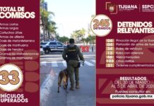 Golpe a la delincuencia en Tijuana: 245 detenidos y más de mil dosis de droga aseguradas