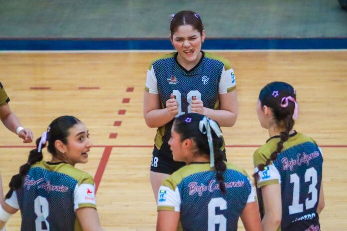 c23acd15-722d-4ac0-985f-563adaa3fe2f