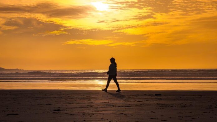 fed3b52f-fe33-4aad-8777-69ee090b9d71